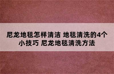 尼龙地毯怎样清洁 地毯清洗的4个小技巧 尼龙地毯清洗方法